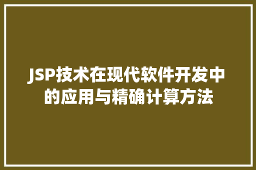 JSP技术在现代软件开发中的应用与精确计算方法