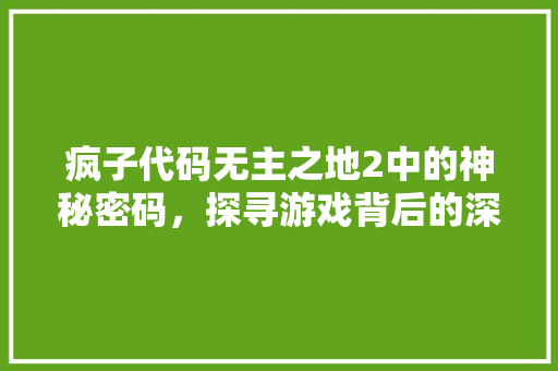 疯子代码无主之地2中的神秘密码，探寻游戏背后的深层意义