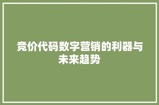 竞价代码数字营销的利器与未来趋势