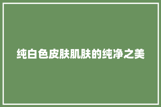 纯白色皮肤肌肤的纯净之美 建站教程