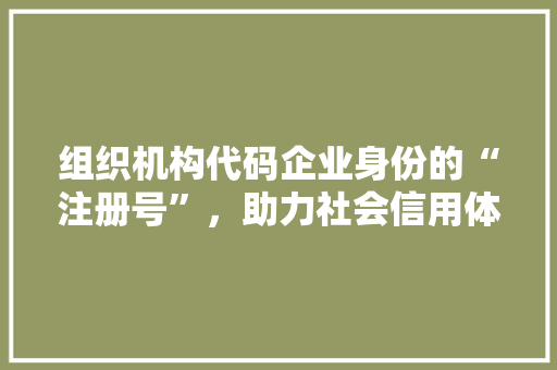 组织机构代码企业身份的“注册号”，助力社会信用体系建设 Web前端