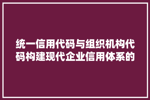 统一信用代码与组织机构代码构建现代企业信用体系的基石