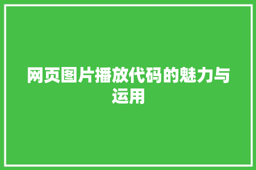 网页图片播放代码的魅力与运用