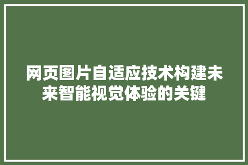 网页图片自适应技术构建未来智能视觉体验的关键
