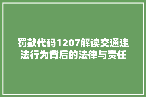罚款代码1207解读交通违法行为背后的法律与责任