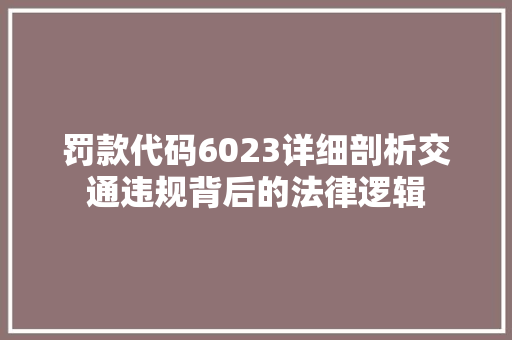 罚款代码6023详细剖析交通违规背后的法律逻辑