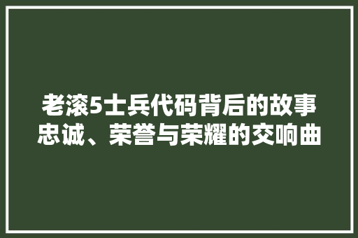 老滚5士兵代码背后的故事忠诚、荣誉与荣耀的交响曲 友链在线