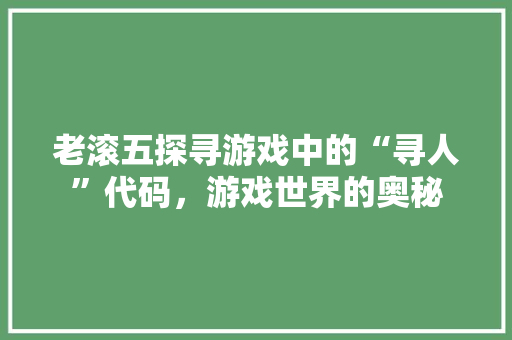 老滚五探寻游戏中的“寻人”代码，游戏世界的奥秘 WordPress教程