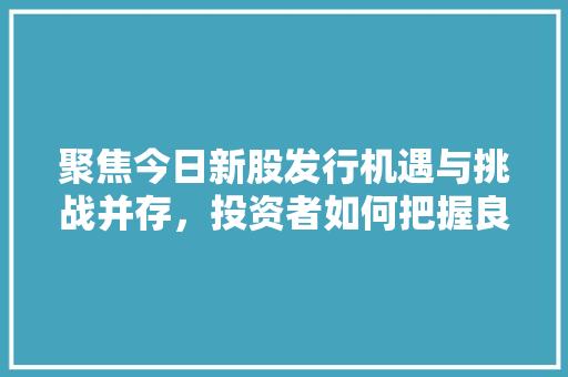 聚焦今日新股发行机遇与挑战并存，投资者如何把握良机