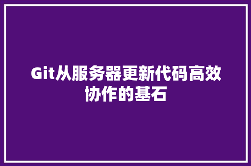 Git从服务器更新代码高效协作的基石