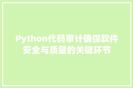 Python代码审计确保软件安全与质量的关键环节