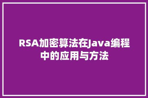 RSA加密算法在Java编程中的应用与方法 SEO教程