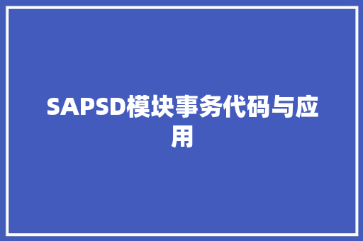SAPSD模块事务代码与应用 SEO教程