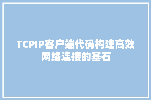 TCPIP客户端代码构建高效网络连接的基石