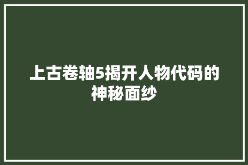 上古卷轴5揭开人物代码的神秘面纱