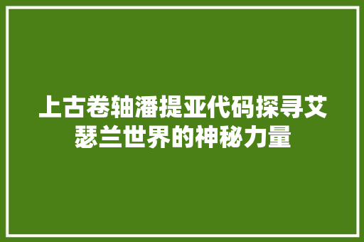 上古卷轴潘提亚代码探寻艾瑟兰世界的神秘力量