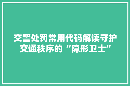 交警处罚常用代码解读守护交通秩序的“隐形卫士”