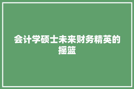会计学硕士未来财务精英的摇篮