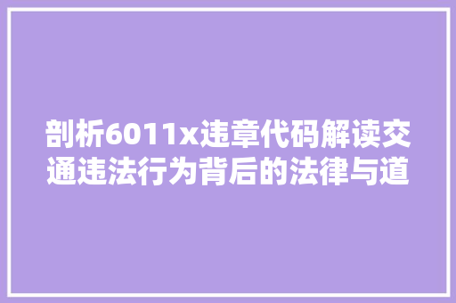 剖析6011x违章代码解读交通违法行为背后的法律与道德思考