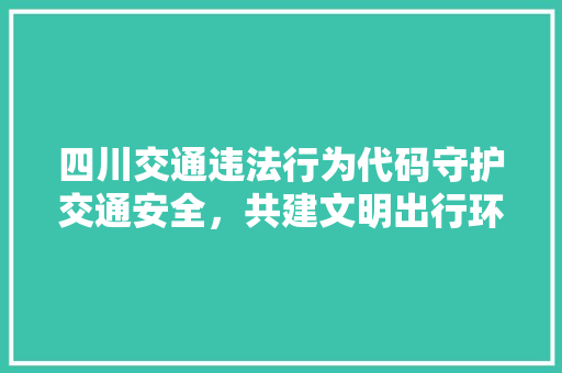 四川交通违法行为代码守护交通安全，共建文明出行环境