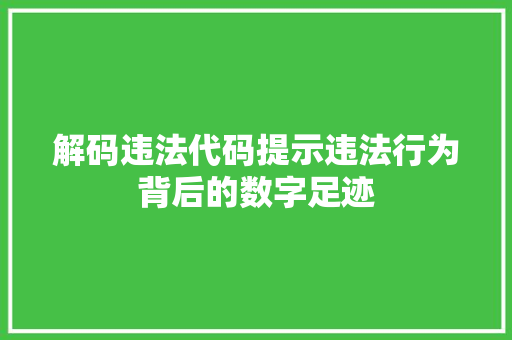 解码违法代码提示违法行为背后的数字足迹