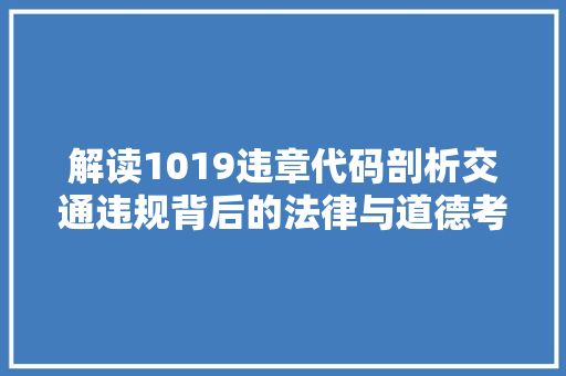 解读1019违章代码剖析交通违规背后的法律与道德考量