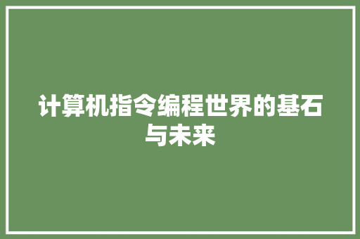 计算机指令编程世界的基石与未来