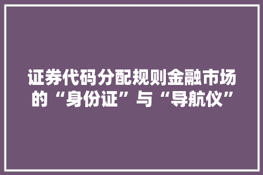 证券代码分配规则金融市场的“身份证”与“导航仪”