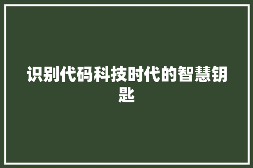 识别代码科技时代的智慧钥匙