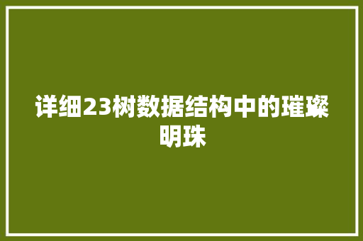 详细23树数据结构中的璀璨明珠