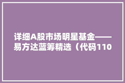 详细A股市场明星基金——易方达蓝筹精选（代码110020）的投资价值与未来展望