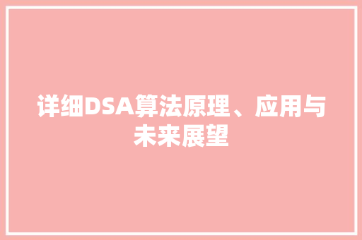 详细DSA算法原理、应用与未来展望