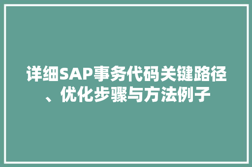详细SAP事务代码关键路径、优化步骤与方法例子