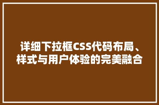 详细下拉框CSS代码布局、样式与用户体验的完美融合