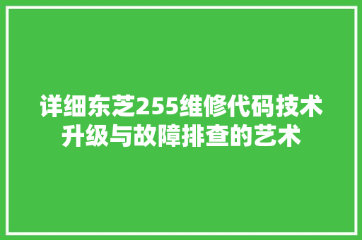 详细东芝255维修代码技术升级与故障排查的艺术