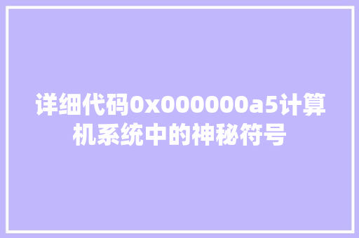 详细代码0x000000a5计算机系统中的神秘符号
