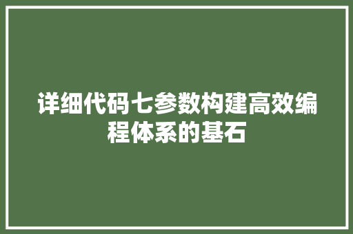 详细代码七参数构建高效编程体系的基石