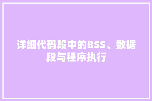 详细代码段中的BSS、数据段与程序执行