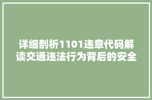 详细剖析1101违章代码解读交通违法行为背后的安全警示