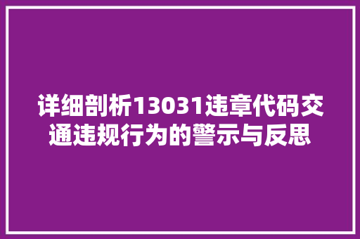 详细剖析13031违章代码交通违规行为的警示与反思 SEO教程