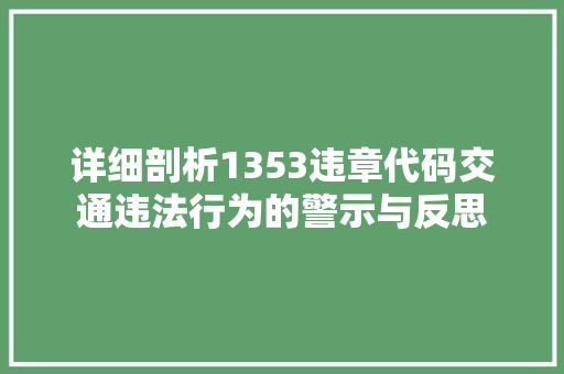详细剖析1353违章代码交通违法行为的警示与反思 建站教程