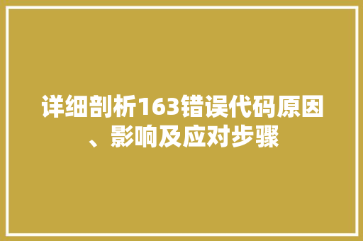 详细剖析163错误代码原因、影响及应对步骤