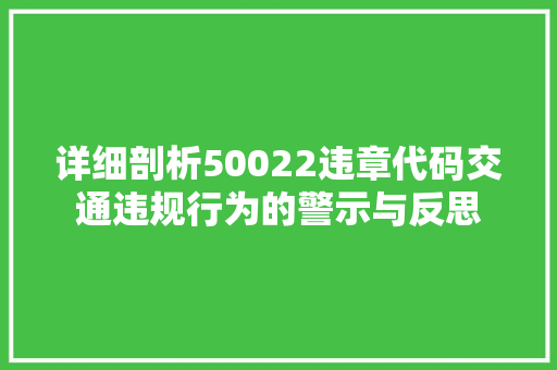 详细剖析50022违章代码交通违规行为的警示与反思