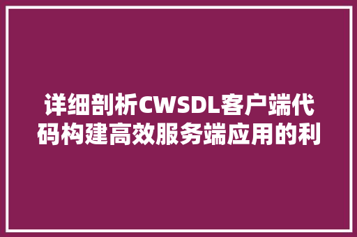 详细剖析CWSDL客户端代码构建高效服务端应用的利器