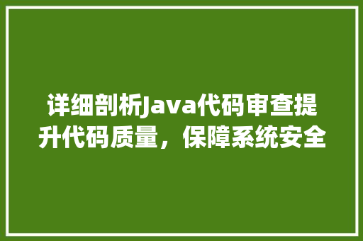 详细剖析Java代码审查提升代码质量，保障系统安全