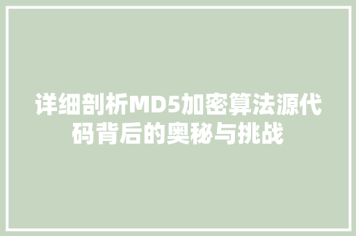 详细剖析MD5加密算法源代码背后的奥秘与挑战 SEO教程