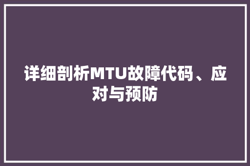 详细剖析MTU故障代码、应对与预防