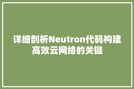 详细剖析Neutron代码构建高效云网络的关键