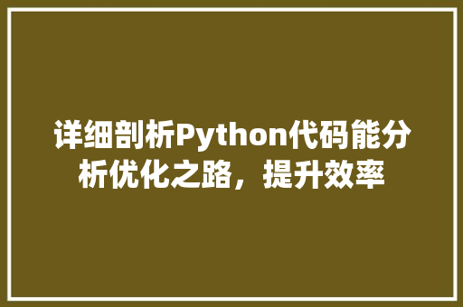 详细剖析Python代码能分析优化之路，提升效率