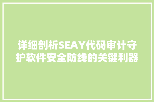 详细剖析SEAY代码审计守护软件安全防线的关键利器